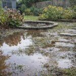 Jak rozpoznać problem z wodą w ogrodzie