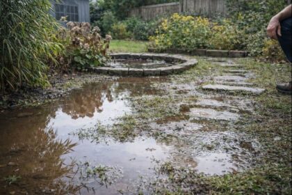 Jak rozpoznać problem z wodą w ogrodzie